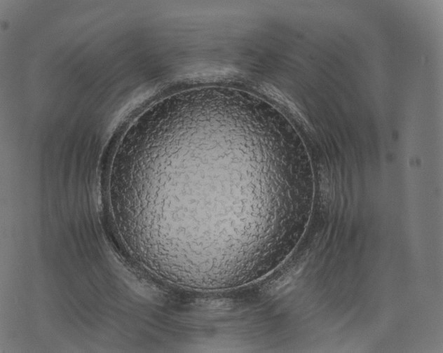 X0000076250582200610051222