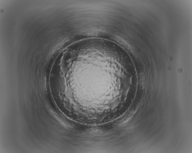 X0000076250589200610051222