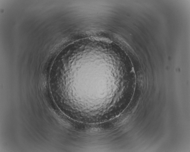 X0000076250593200610051222