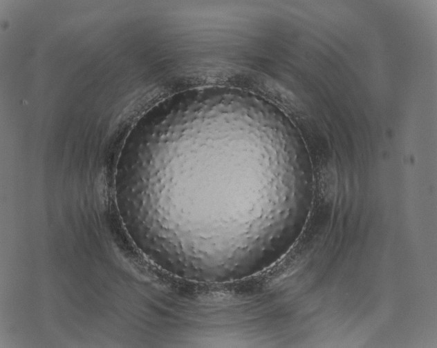 X0000076250594200610051222