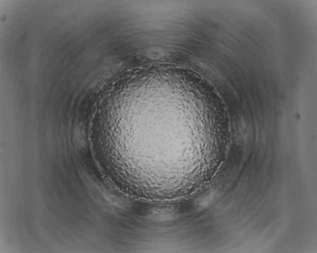 X0000076250606200610051222