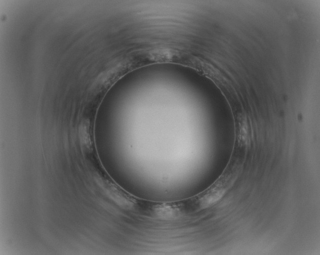 X0000076250616200610051222