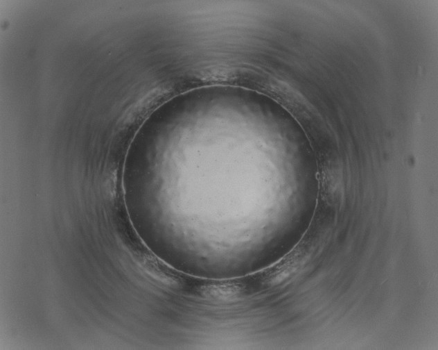 X0000076250652200610051221