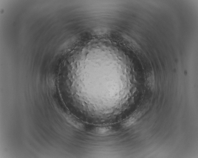 X0000076250662200610051222