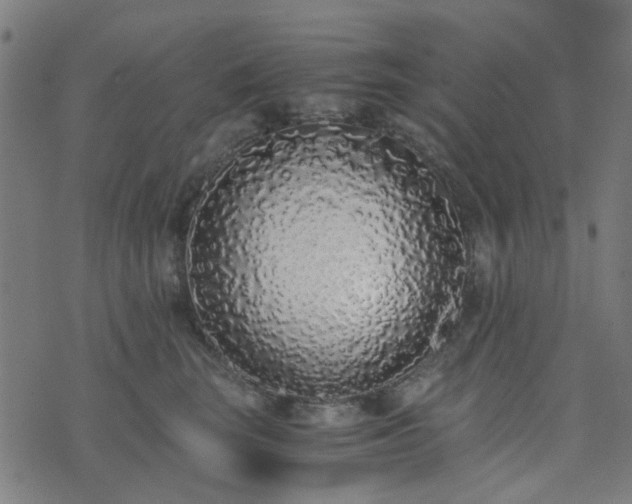 X0000076250663200610051222