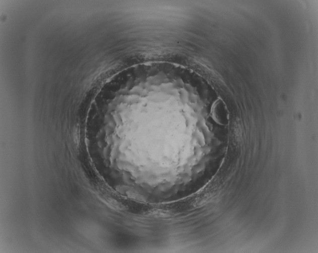 X0000076250691200610051221