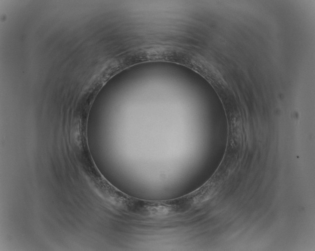 X0000076250698200610051220