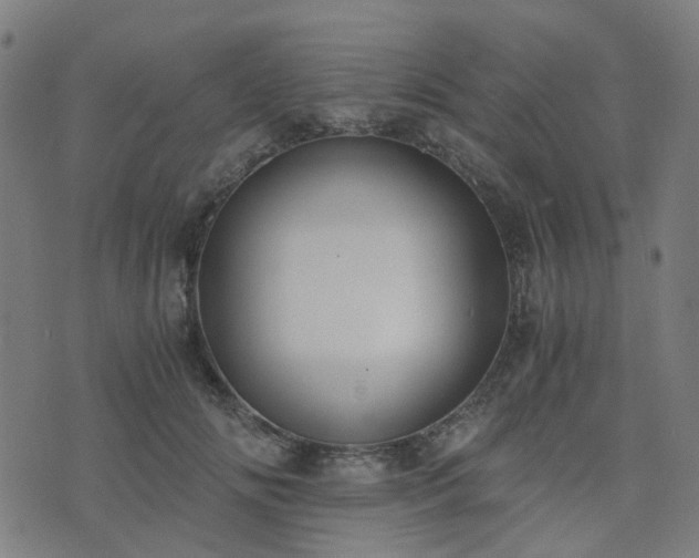 X0000076250702200610051220