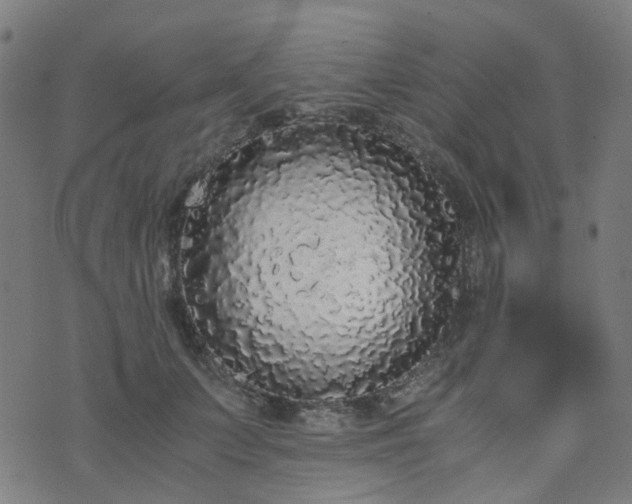 X0000076250703200610051220