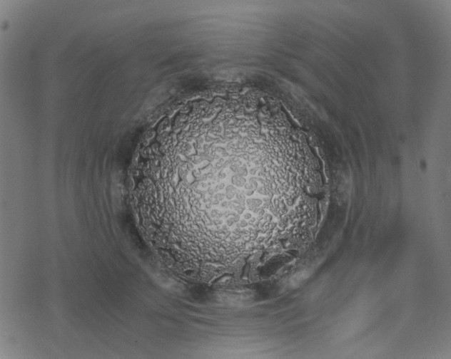 X0000076250707200610051220