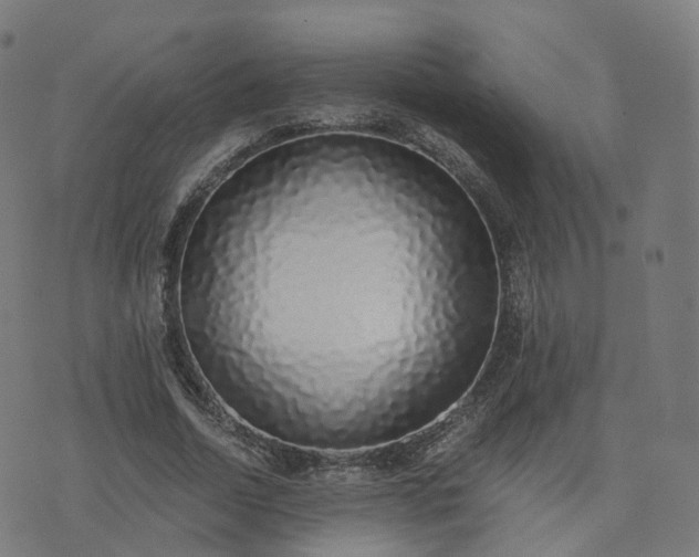 X0000076250730200610051219