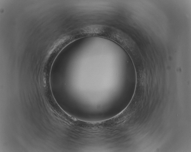 X0000076250731200610051219