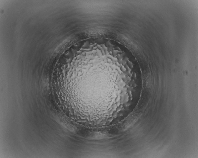 X0000076250737200610051220