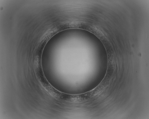 X0000076250744200610051220