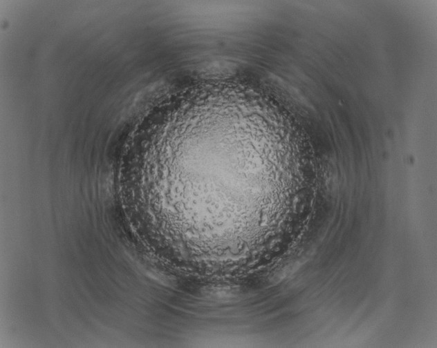 X0000076250745200610051220