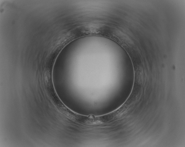 X0000076250747200610051220