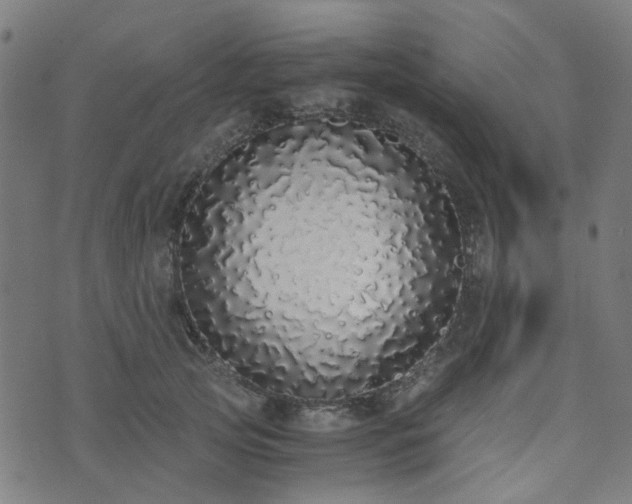 X0000076250753200610051220
