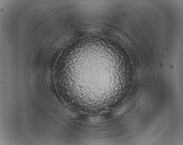 X0000076250757200610051220