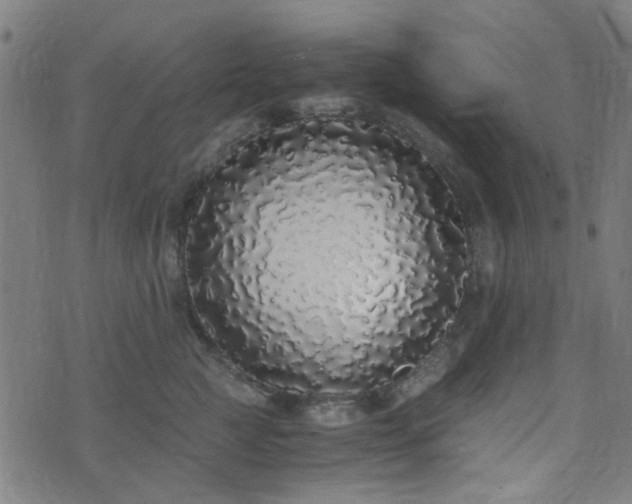 X0000076250761200610051220