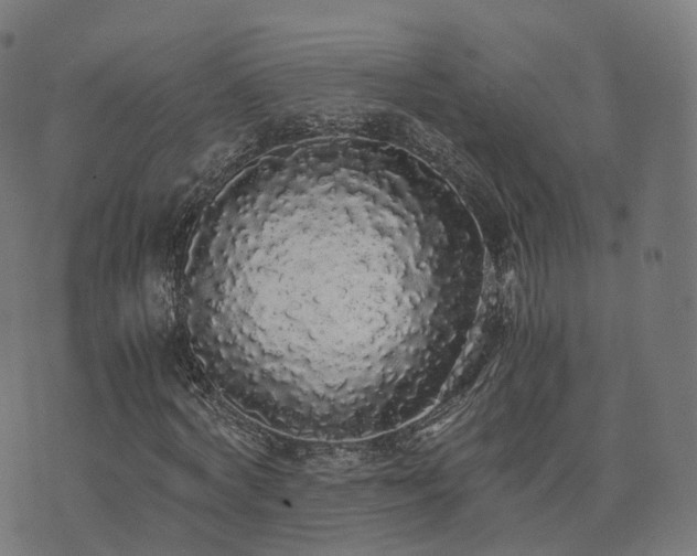 X0000076250772200610051219