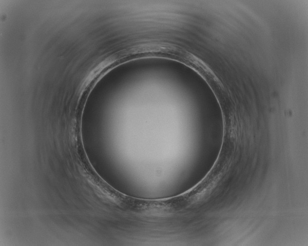 X0000076250786200610051219