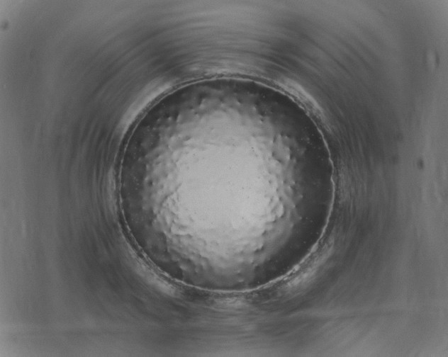 X0000076250798200610051219