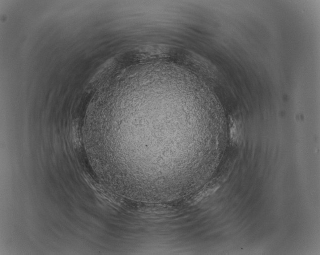 X0000076250819200610051218