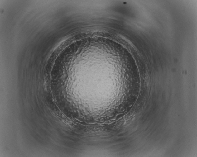 X0000076250823200610051218