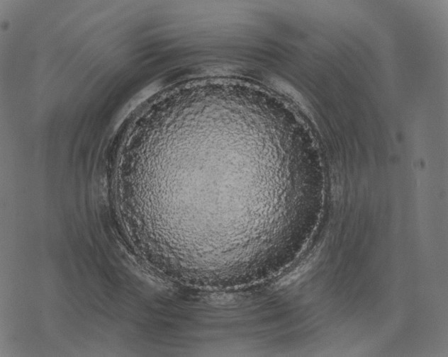 X0000076250827200610051218