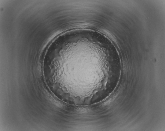 X0000076250835200610051218