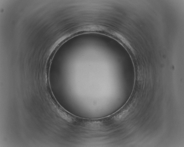 X0000076250837200610051218