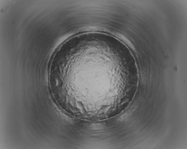X0000076250839200610051218