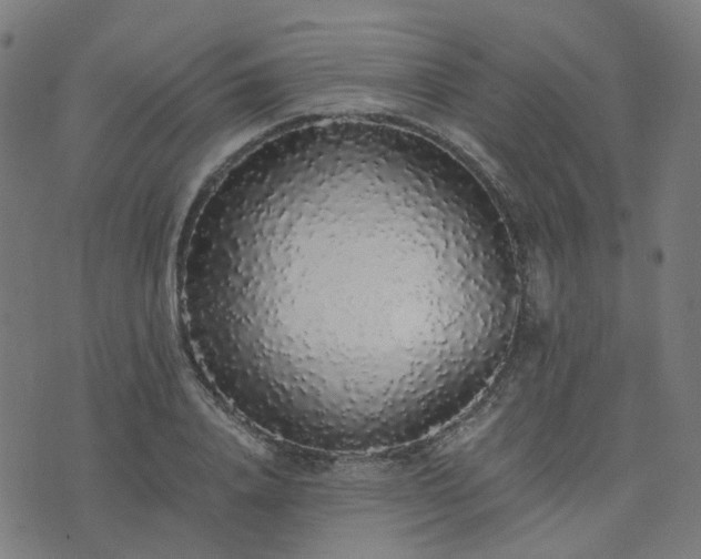 X0000076250840200610051218
