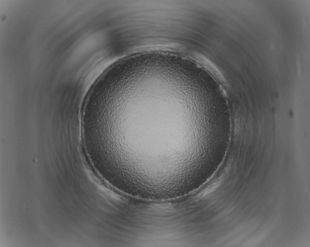 X0000076250844200610051218