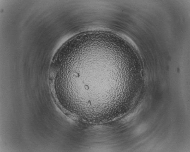 X0000076250847200610051218