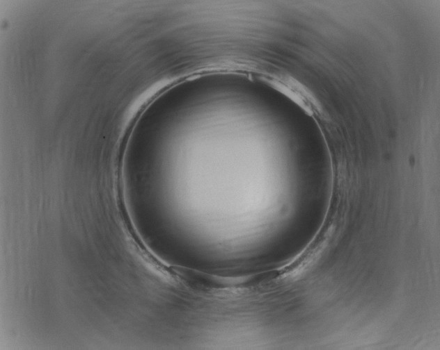 X0000076250854200610051218
