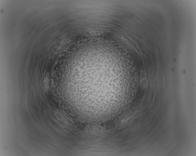 X0000076250866200610051218