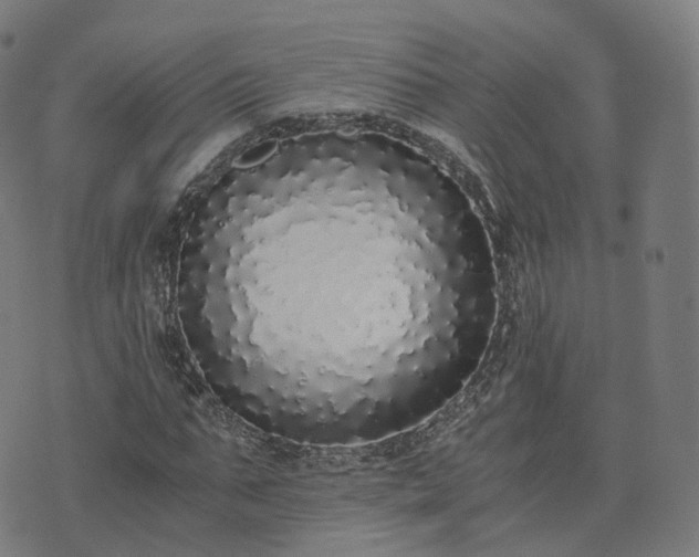 X0000076250871200610051218