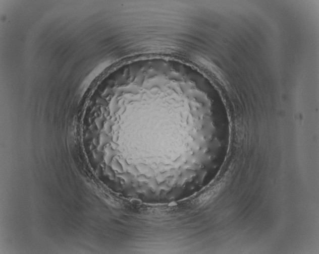 X0000076250875200610051218