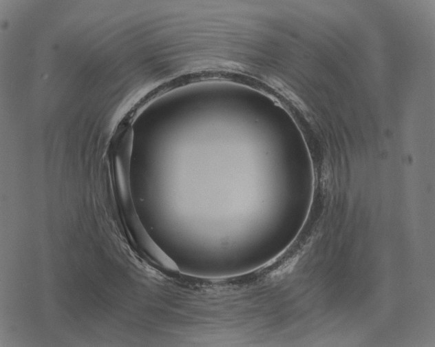 X0000076250877200610051218