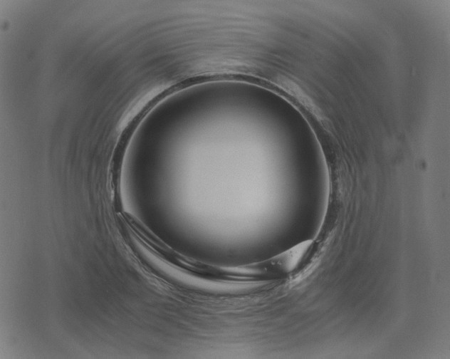 X0000076250885200610051217