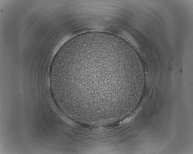 X0000076250891200610051217