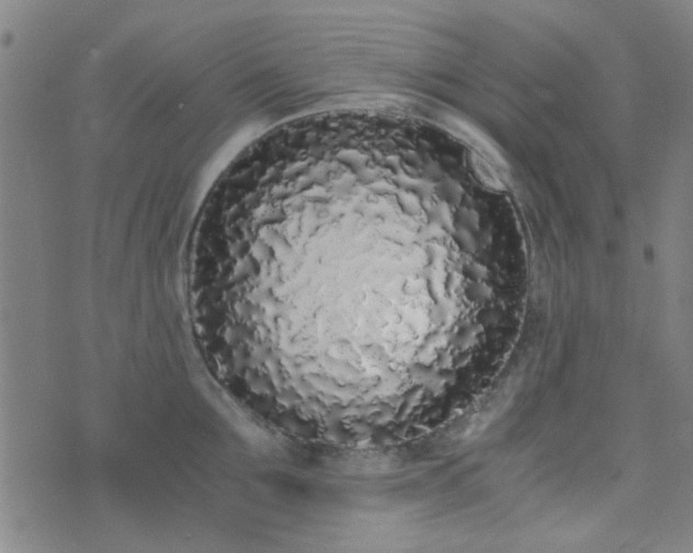 X0000076250907200610051217