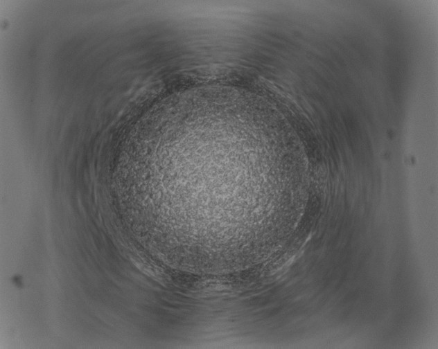 X0000076250913200610051216