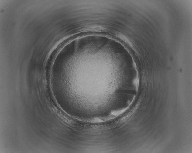 X0000076250923200610051216