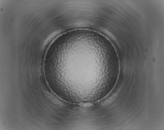 X0000076250930200610051216