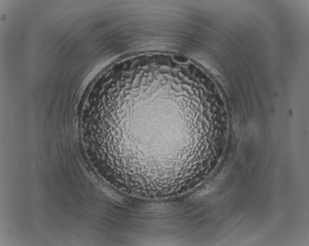 X0000076250933200610051217