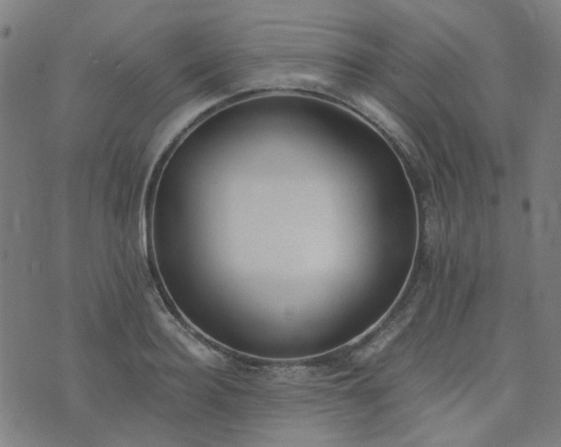 X0000076250940200610051217