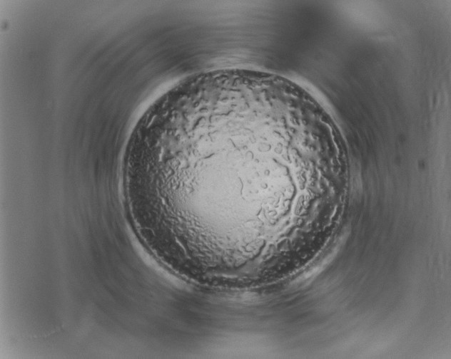 X0000076250957200610051217