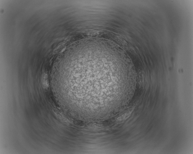 X0000076250962200610051216